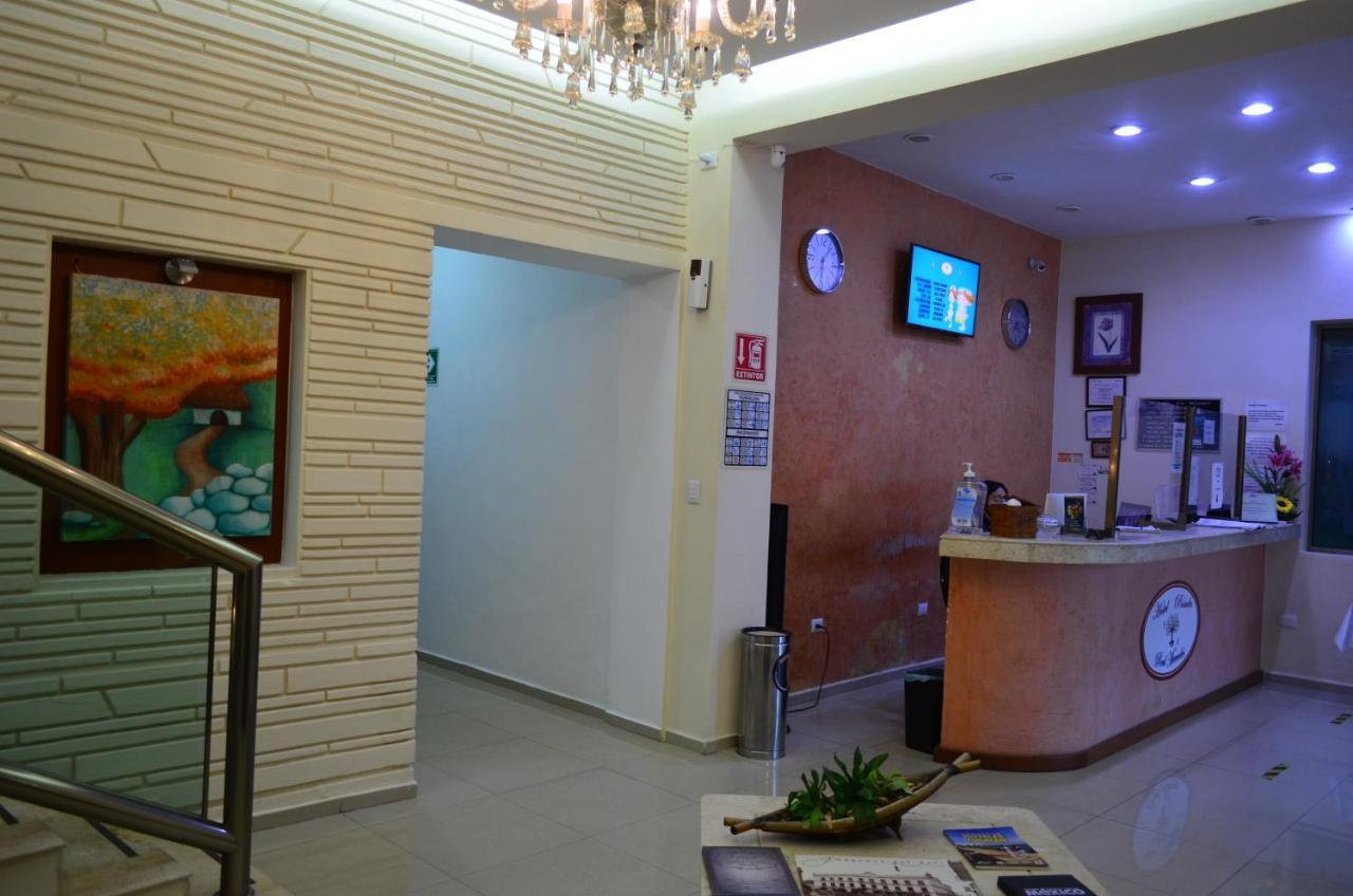 Hotel Real Mercedes Mérida Extérieur photo